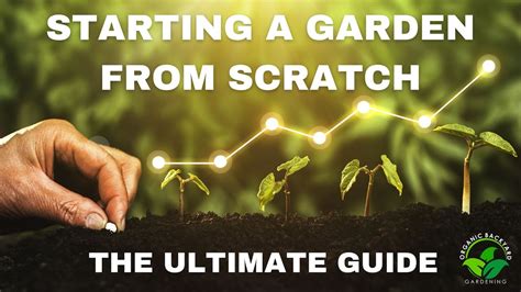 The Ultimate Guide To Starting A Garden From Scratch For Beginners