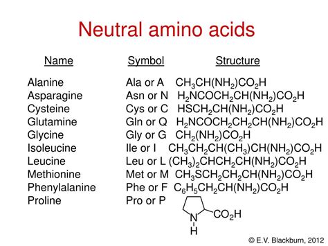 Ppt Amino Acids And Proteins Powerpoint Presentation Free Download