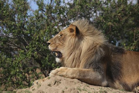 National Wildlife Parks in Zimbabwe