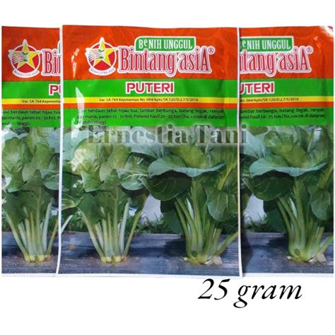 jual benih bibit sawi hijau puteri  gram biji sayur bibit tanaman