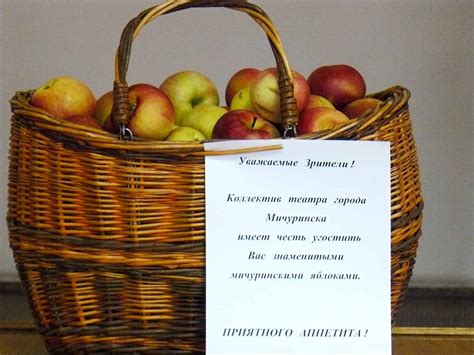 Яблоня Мичуринская Бессемянка Описание Фото Отзывы – Telegraph