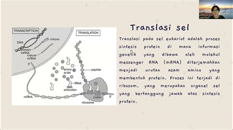 transkripsi translasi  modifikasi pasca translasi  sel