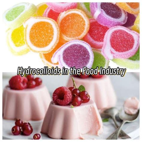 Hydrocolloids in the Food Industry: A Comprehensive Overview - Knowledge