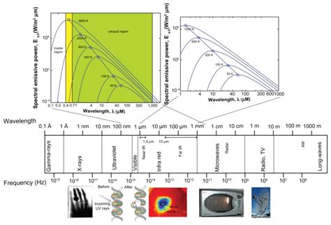 EM radiation spectrum shown in terms of wavelength and frequency ...