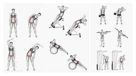 Hyperextensions So funktioniert das Rückenstrecken am Gerät