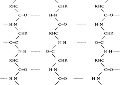 Crystalline Structure Of The Peptide Chains In Silk Fibroin Download