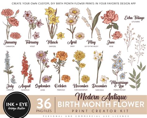 Birth Month Flowers Clipart Antique Floral PNG Bundle DIY Birth Month