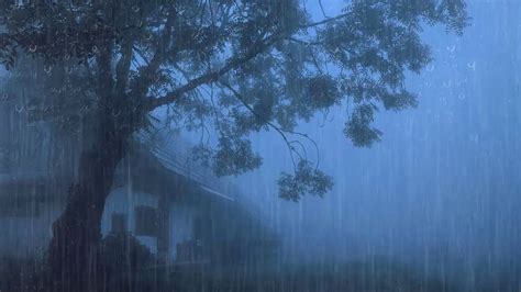 Barulho De Chuva Para Dormir Imediatamente Som De Chuva Forte E