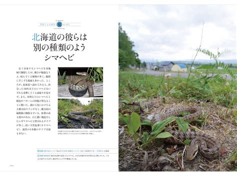 誠文堂新光社、「日本の爬虫類・両生類 野外観察図鑑」を刊行8月24日 6枚目の写真・画像 動物のリアルを伝えるwebメディア「reanimal」