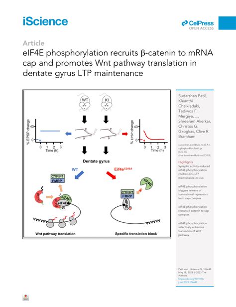 PDF eIF4E phosphorylation recruits β catenin to mRNA cap and promotes