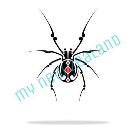 New Zealand Katipo Spider – My New Zealand