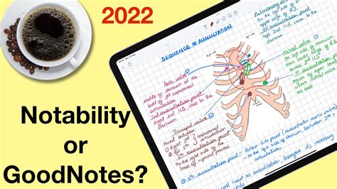 Notability Vs Goodnotes Similarities Not Sponsored Youtube