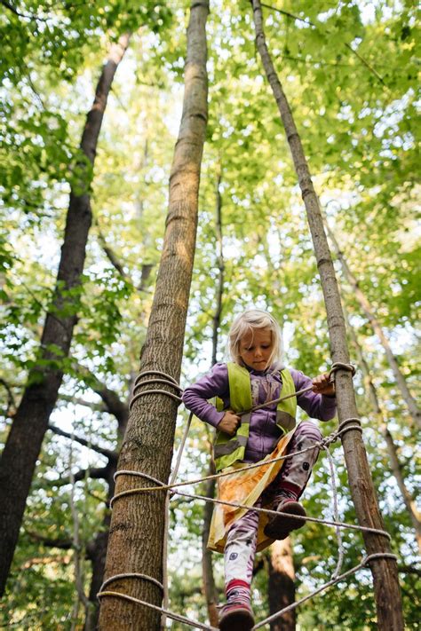 Rein in Natur Anregungen für Waldpädagogik und Naturpädagogik im