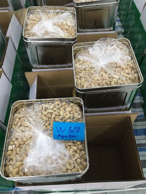 Cashew Nuts In Vietnam Exquisite Quality Global Appeal Agrikim