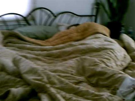 Caught My Husband Cheating On Me With A Blonde In Our Own Bed YouTube