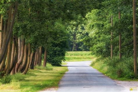 Photo Micha - "Fällt noch Licht auf deinen Weg, mußt du wandern, weit und weiter, ziehn, wohin ...