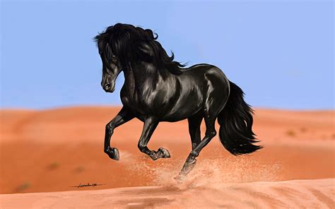 Black Horse HD Backgrounds Free Download