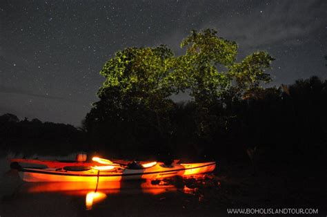 Firefly Watching Bohol Island Tour Wow Bohol Package Tours And