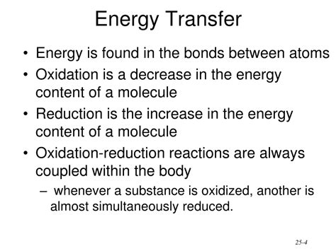 Ppt Metabolism Powerpoint Presentation Free Download Id9542706