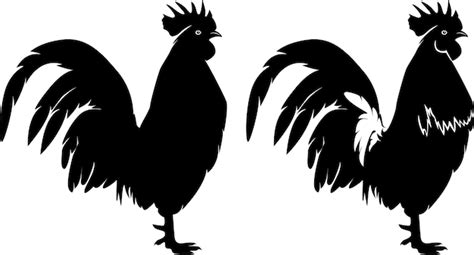 Pollo Hembra Pollo Pollos Silueta De Gallina Aislada Sobre Un Fondo