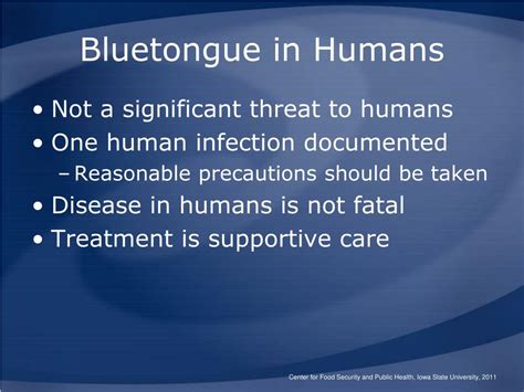 PPT - Bluetongue PowerPoint Presentation, free download - ID:1195098