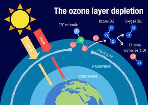 Ozone Layer Diagram