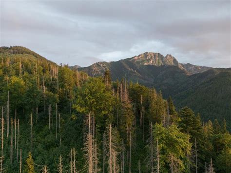 Paysage De Montagne à Zakopane Tatras Vue Sur Le Rocher De Gievont