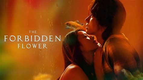 8 séries asiatiques à regarder si vous avez aimé The Forbidden Flower