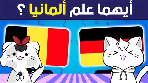 تحدي اعلام الدول العربية و الاجنبية مع زوجتي قطوسة 😾💜😸 Youtube