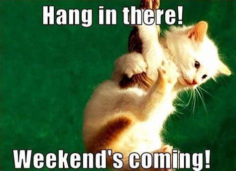 Hang In There Weekend S Coming Pictures Photos And Images For