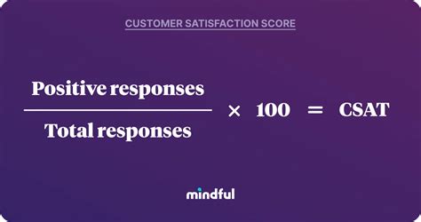 Customer Satisfaction A Complete Usable Guide Mindful