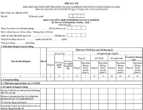 Mẫu báo cáo tình hình tai nạn lao động mới nhất năm 2023 Thời điểm báo