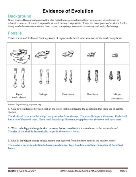 Evidence Of Evolution Worksheet – Imsyaf.com