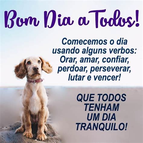 Bom Dia A Todos Ou À Todos - Bom Dia a Todos: 79 mensagens