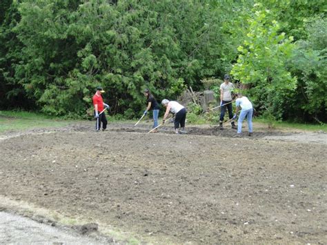 Tree Planting Catfish Creek Conservation Authority