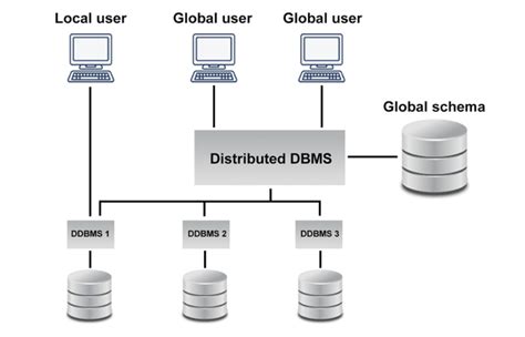 6 Jenis Database Yang Sering Digunakan Coding Studio