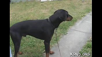 Remarkable Mandy Bends Over For Rear Fuck XNXX