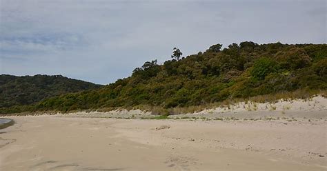 Things That Aren T Birds Of Stewart Island Rakiura Album On Imgur