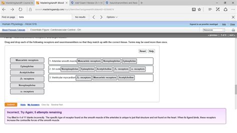 Solved: Drag And Drop Each Of The Following Receptors And ... | Chegg.com 