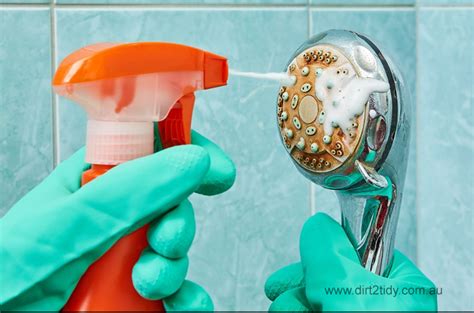 Step By Step Guide How To Clean Your Shower Head