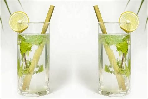 Edible Straws - Prakati India