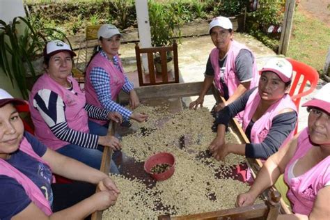 Abren Convocatoria Para Financiar Proyectos De Mujeres Rurales