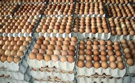 Sri Lanka To Import Eggs To Stabilise Prices