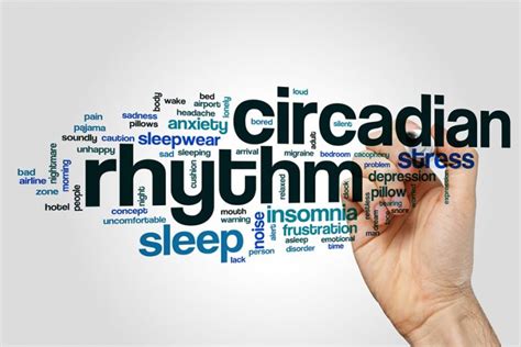 Circadian Rhythm Disorder: Types, Symptoms, Causes, and Treatment ...