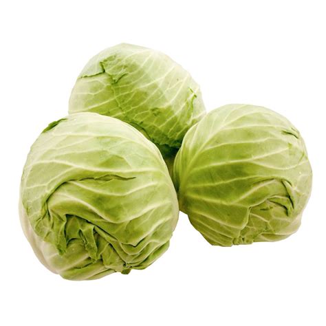 Green Cabbage | Food Service International