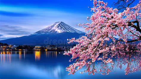 Fuji Mountain And Cherry Blossoms In Spring Japan Stock Image Image