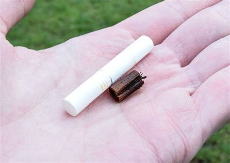 Что будет с человеком, если он скурит стик от IQOS, как обычную ...