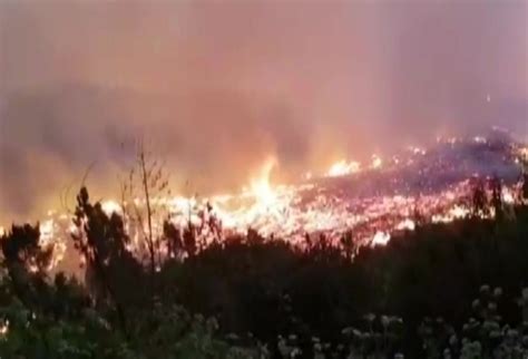 Corma “cerca Del 60 De Los Incendios Forestales Producidos En La