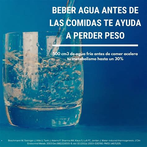 Como Calcular El Metabolismo Basal Para Adelgazar Calculadora