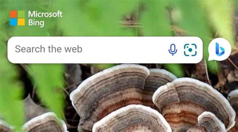 New Bing Chatbot Ai Terbaru Dan Cara Menggunakannya